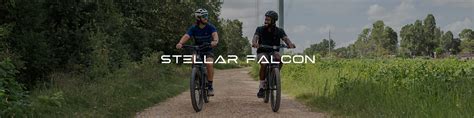 Introducing the Stellar Falcon: A Comprehensive Review.